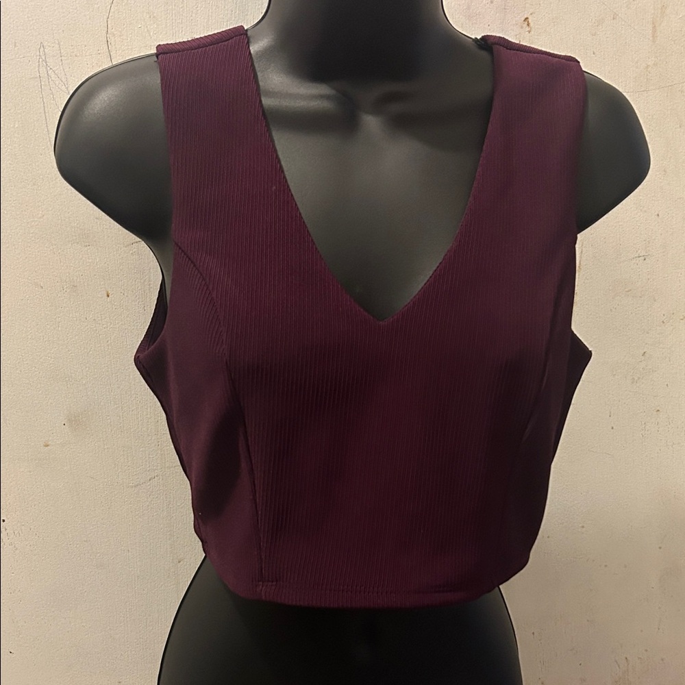 Forever 21 Plum Ribbed V-Neck Crop Top